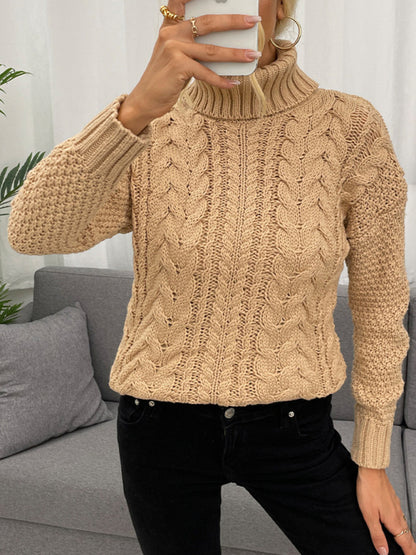 Women's Turtleneck Twist Knit Sweater