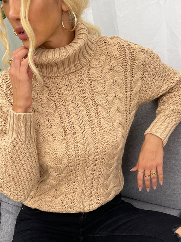 Women's Turtleneck Twist Knit Sweater